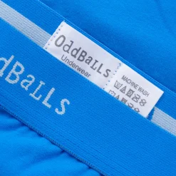 Blueberries - Ladies Briefs