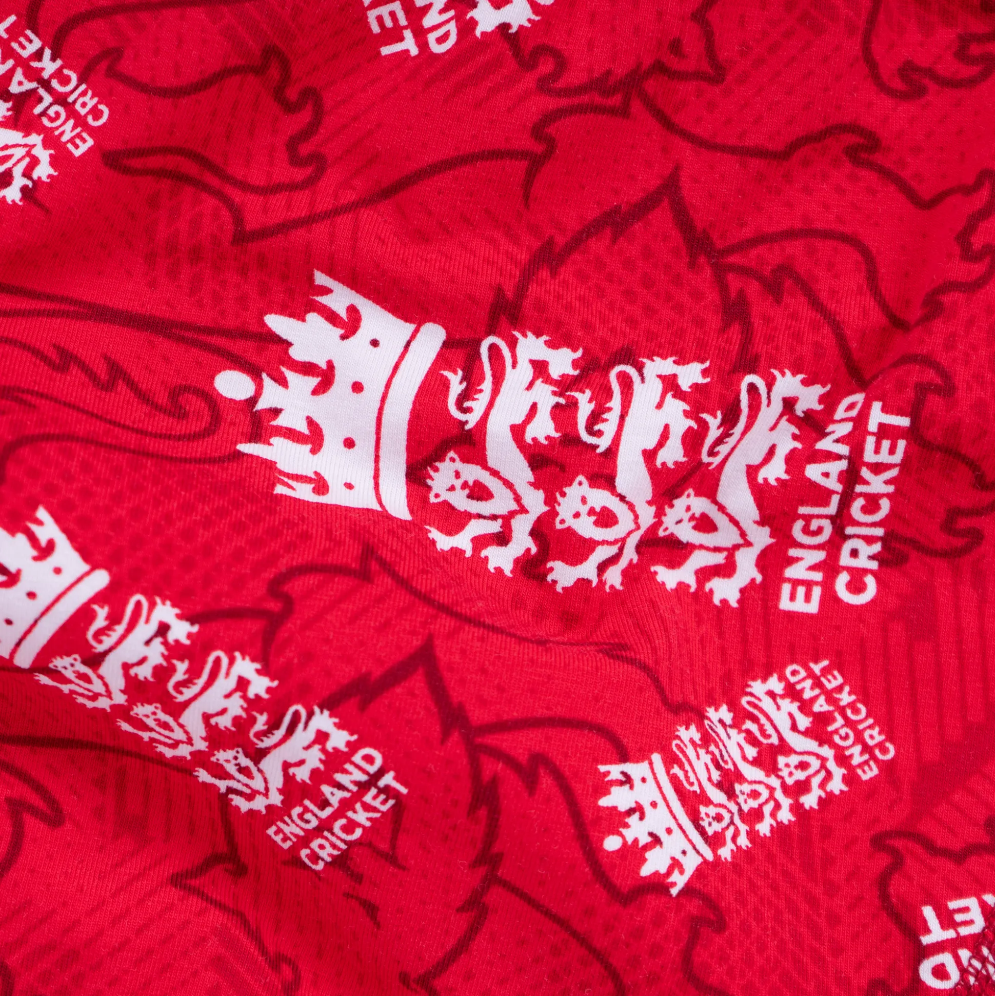 England Cricket T20 - Mens Briefs