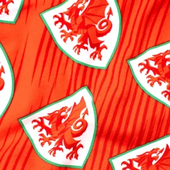 FA Wales - Home - Ladies Thong