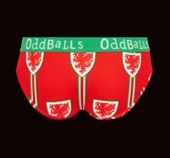FA Wales Red & Green - Ladies Briefs