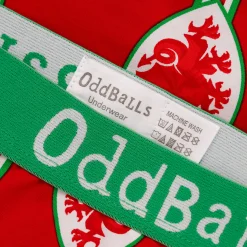 FA Wales Red & Green - Ladies Briefs