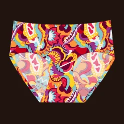 Festival - Seamless Full Briefs