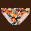 Great Balls of Fire - Swimming Briefs