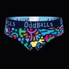 Jurassic - Ladies Briefs