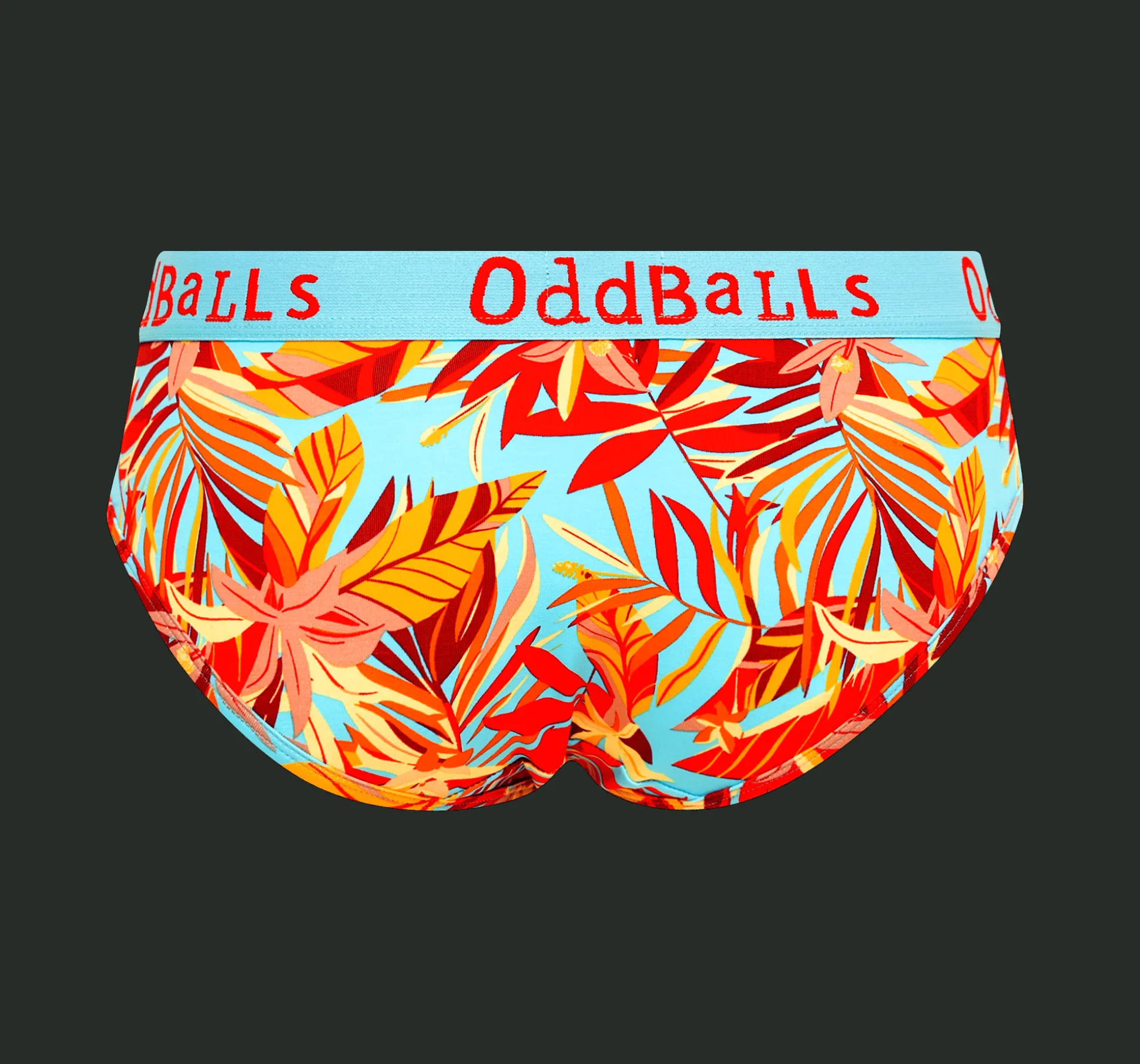 Ladies Briefs & Free Socks - Monthly Subscription
