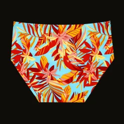Ladies Full Seamless Underwear & Free Socks - Monthly Subscription