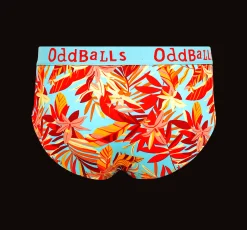 Mens Briefs & Free Socks - Monthly Subscription