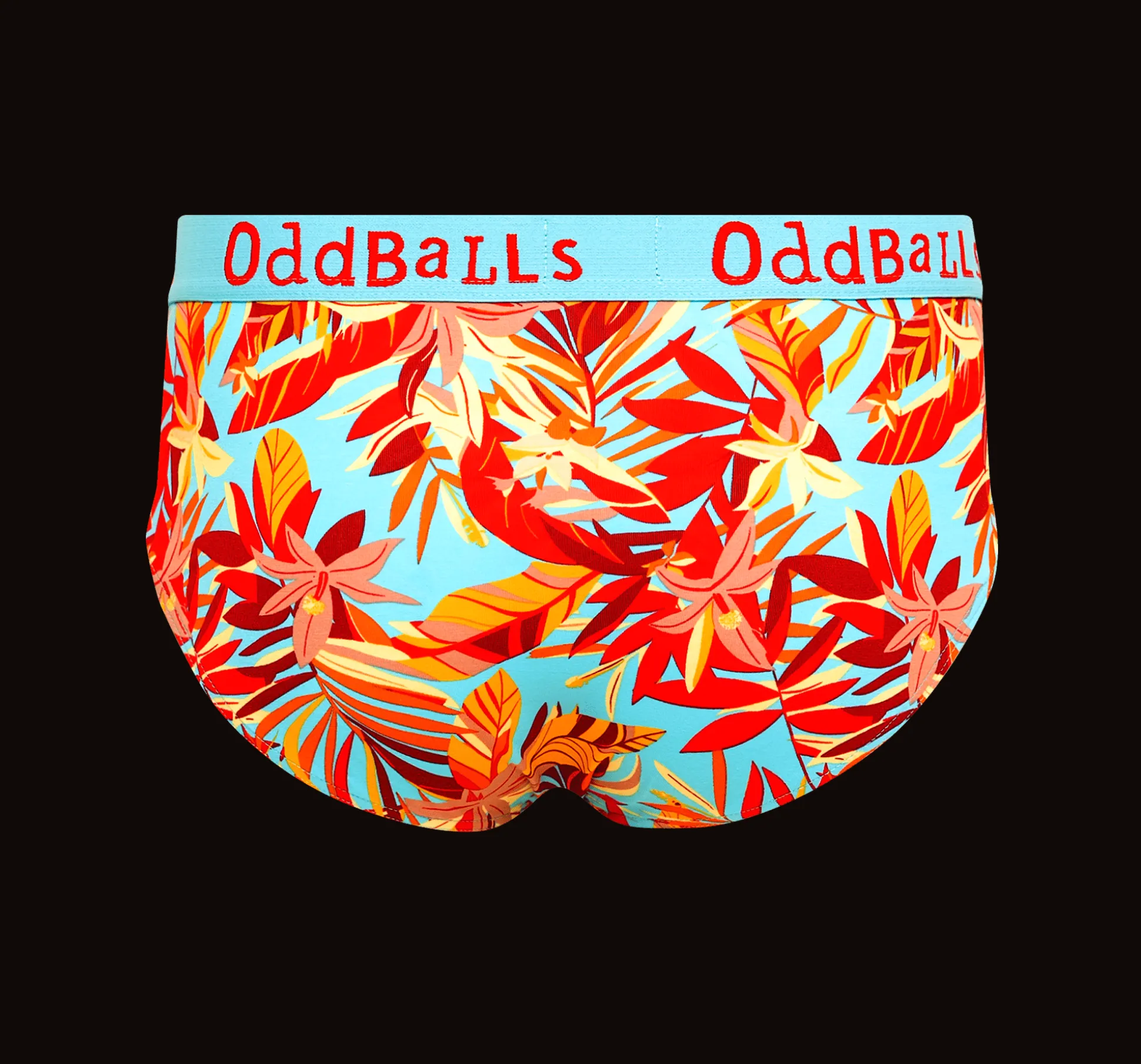 Mens Briefs & Free Socks - Monthly Subscription