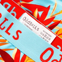 Mens Briefs & Free Socks - Monthly Subscription