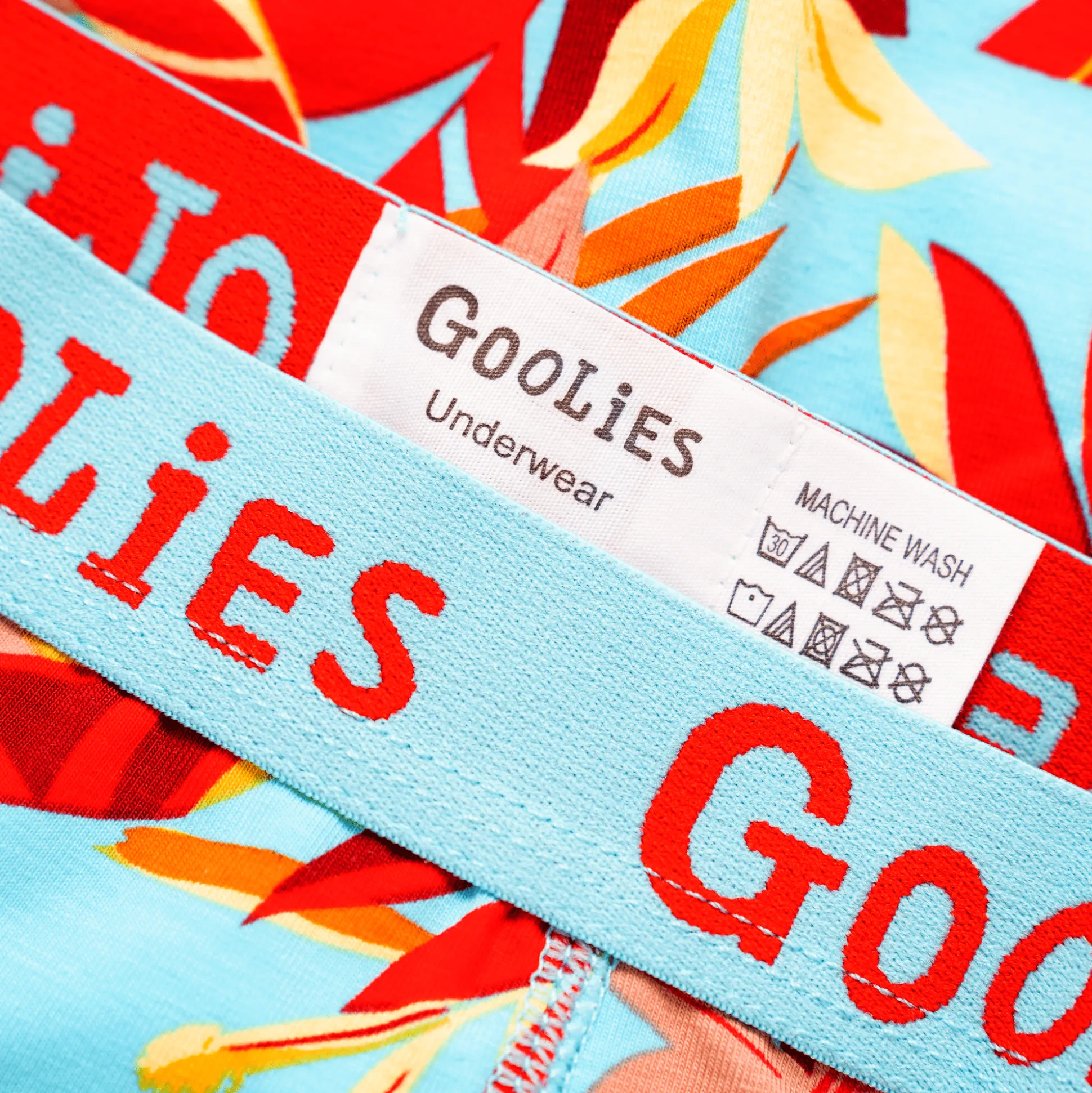 03 Month Pre-Paid: Goolies & Free Socks - Monthly Subscription