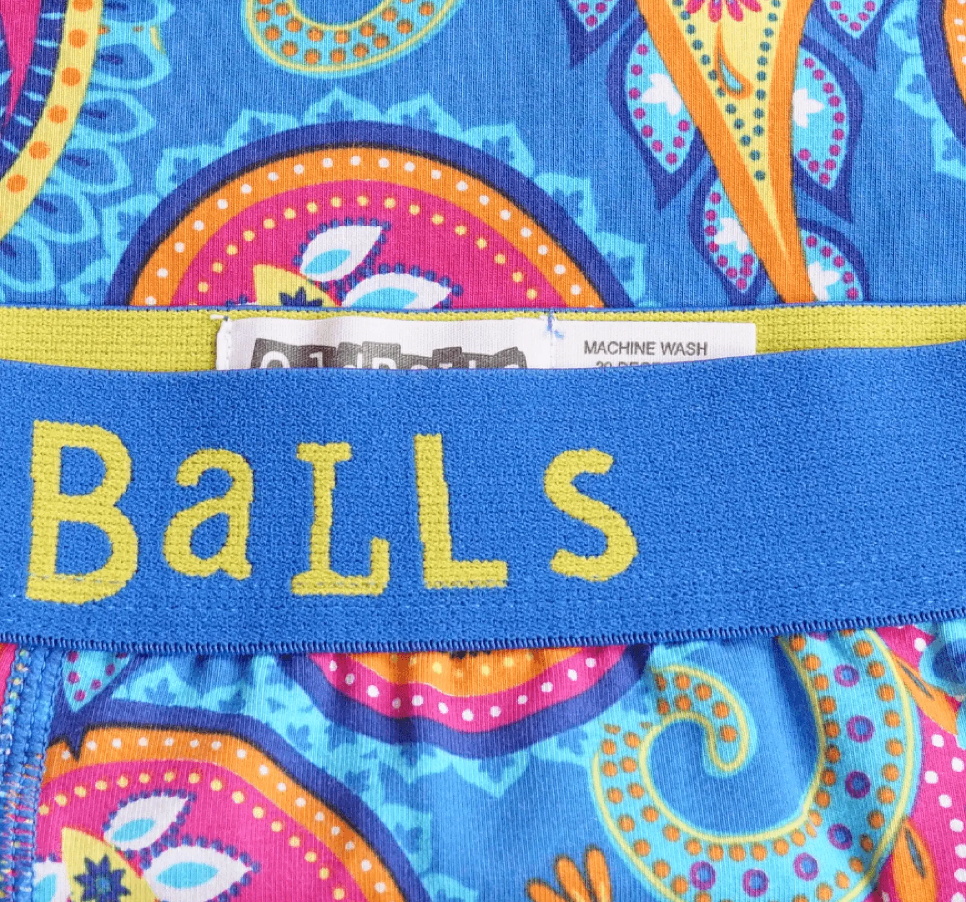 Paisley - Mens Briefs