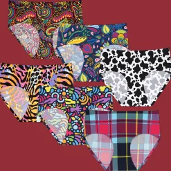 Spring Season Bundle - Ladies Seamless Full Briefs 6 Pack Bundle