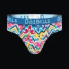 Summit - Mens Briefs