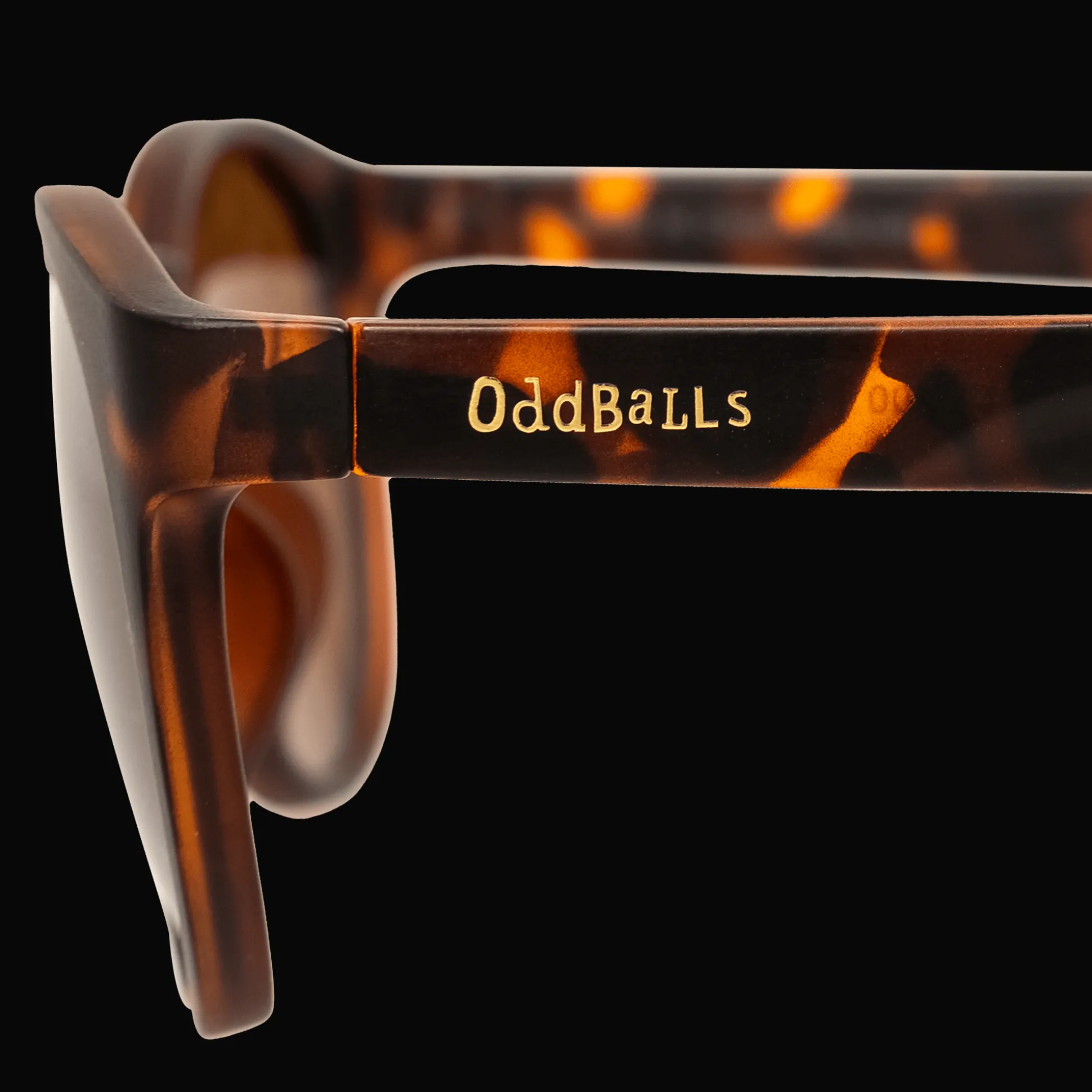 Sunglasses - Tortoise