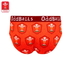 Welsh Rugby Union - Home - Mens Briefs
