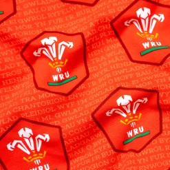 Welsh Rugby Union - Home - Ladies Thong