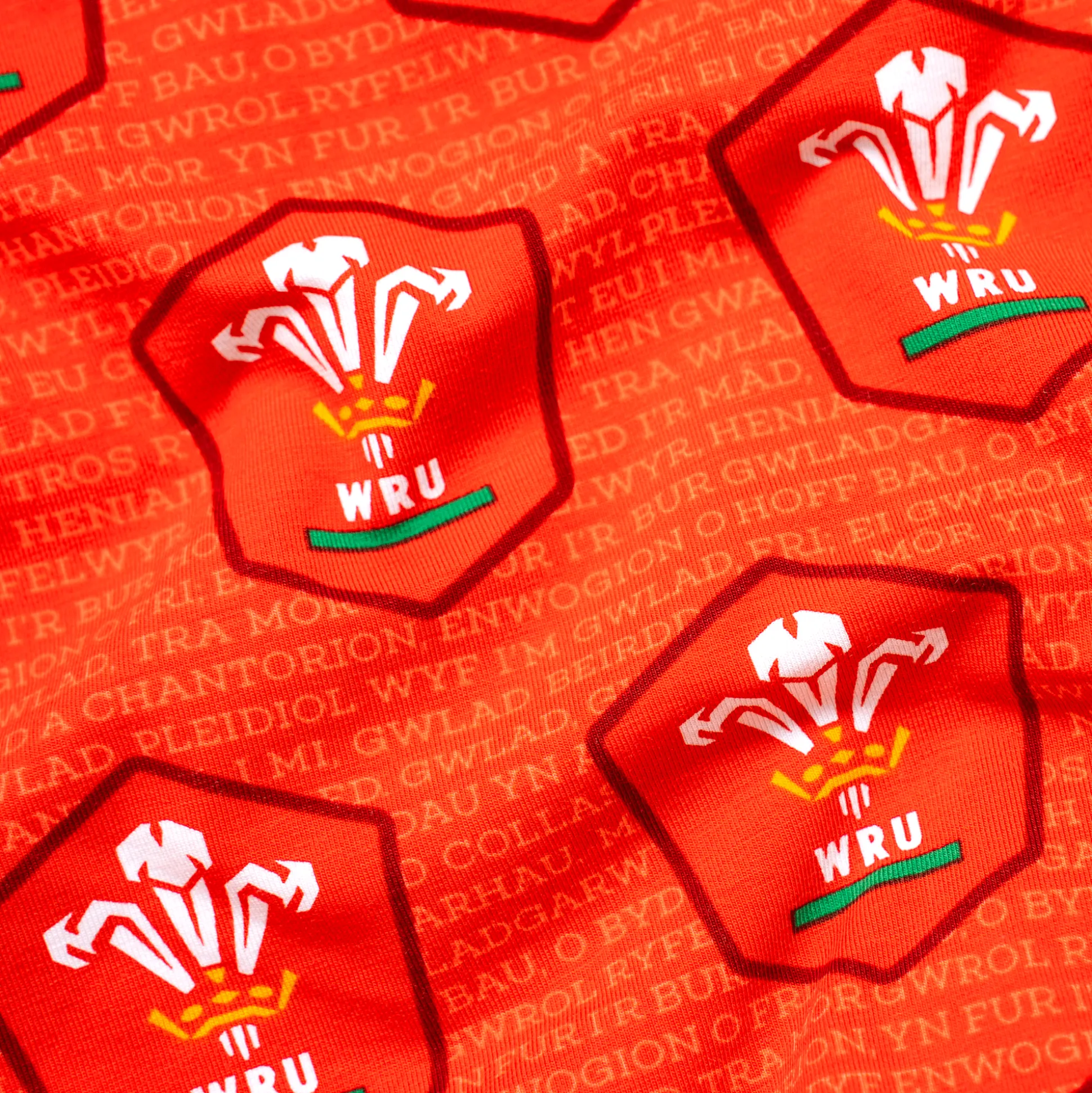 Welsh Rugby Union - Home - Mens Briefs