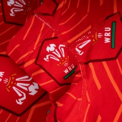 Welsh Rugby Union - Home - Mens Briefs