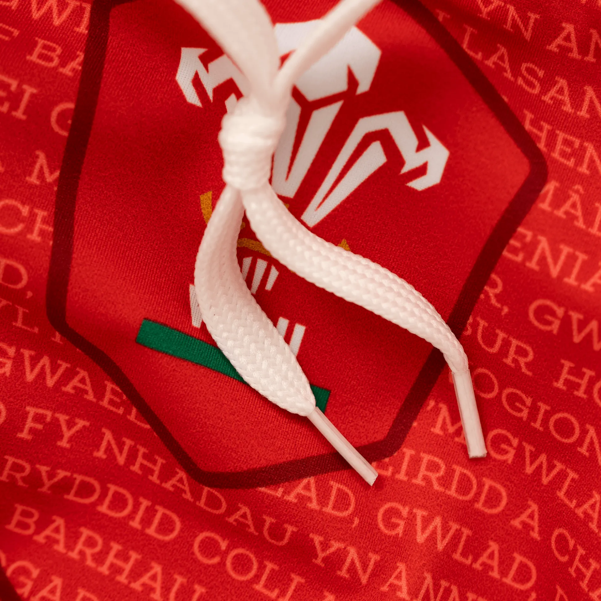Welsh Rugby Union - Swimming Briefs