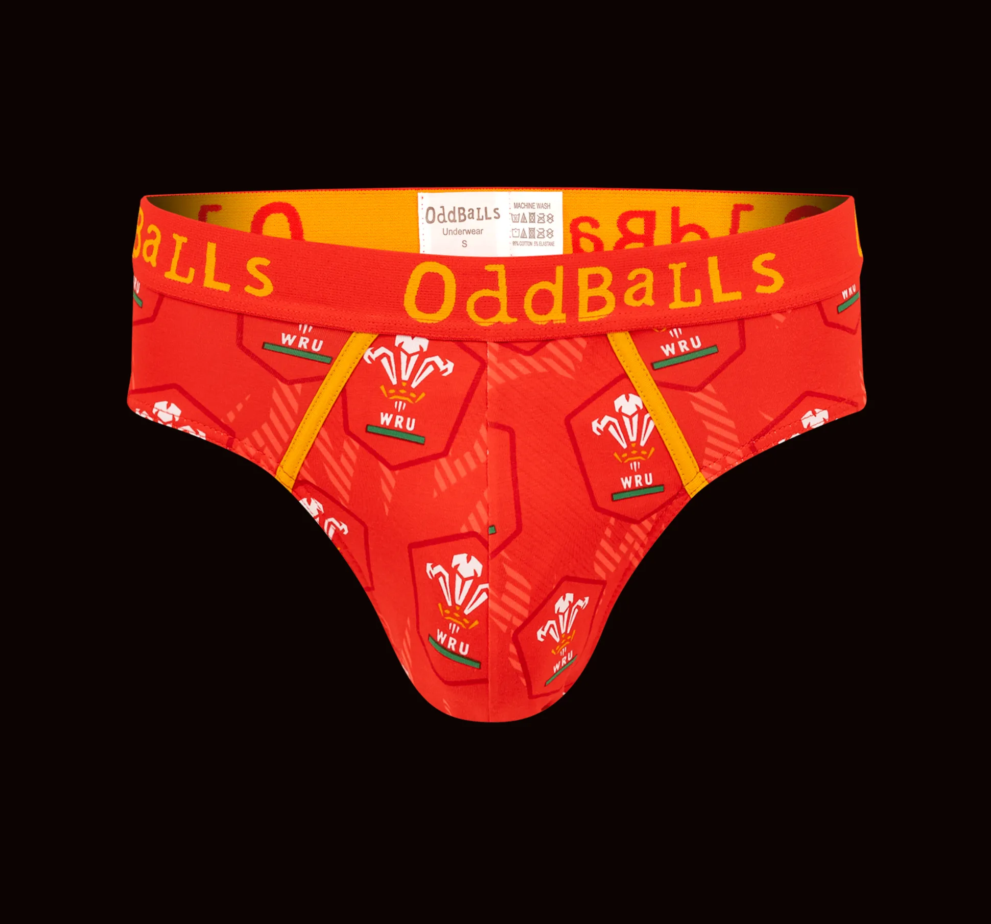 Welsh Rugby Union Flames - Mens Briefs