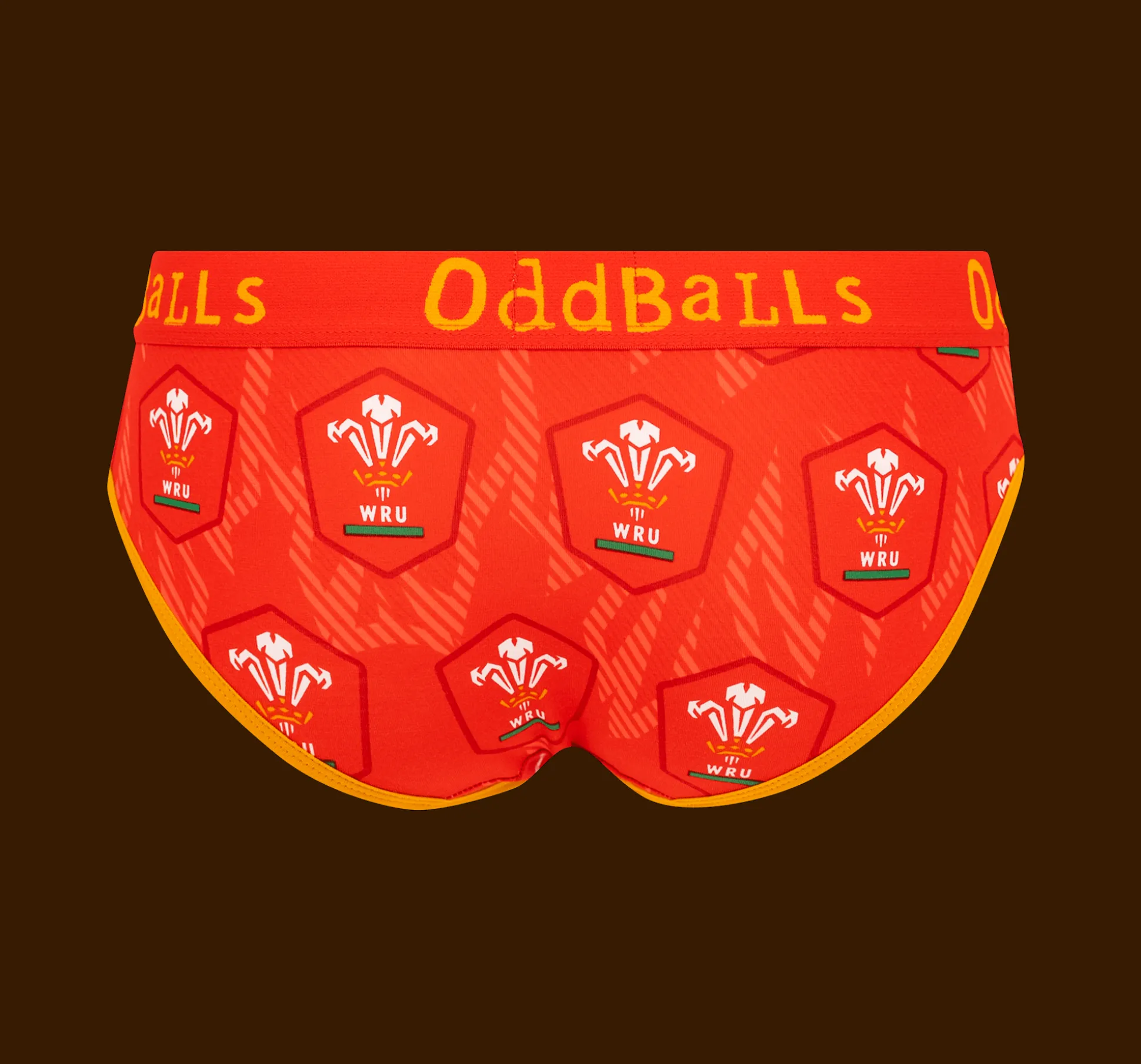 Welsh Rugby Union Flames - Ladies Briefs