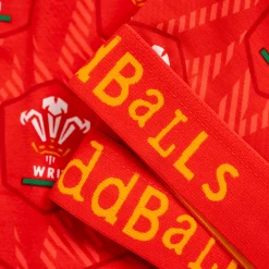 Welsh Rugby Union Flames - Mens Briefs