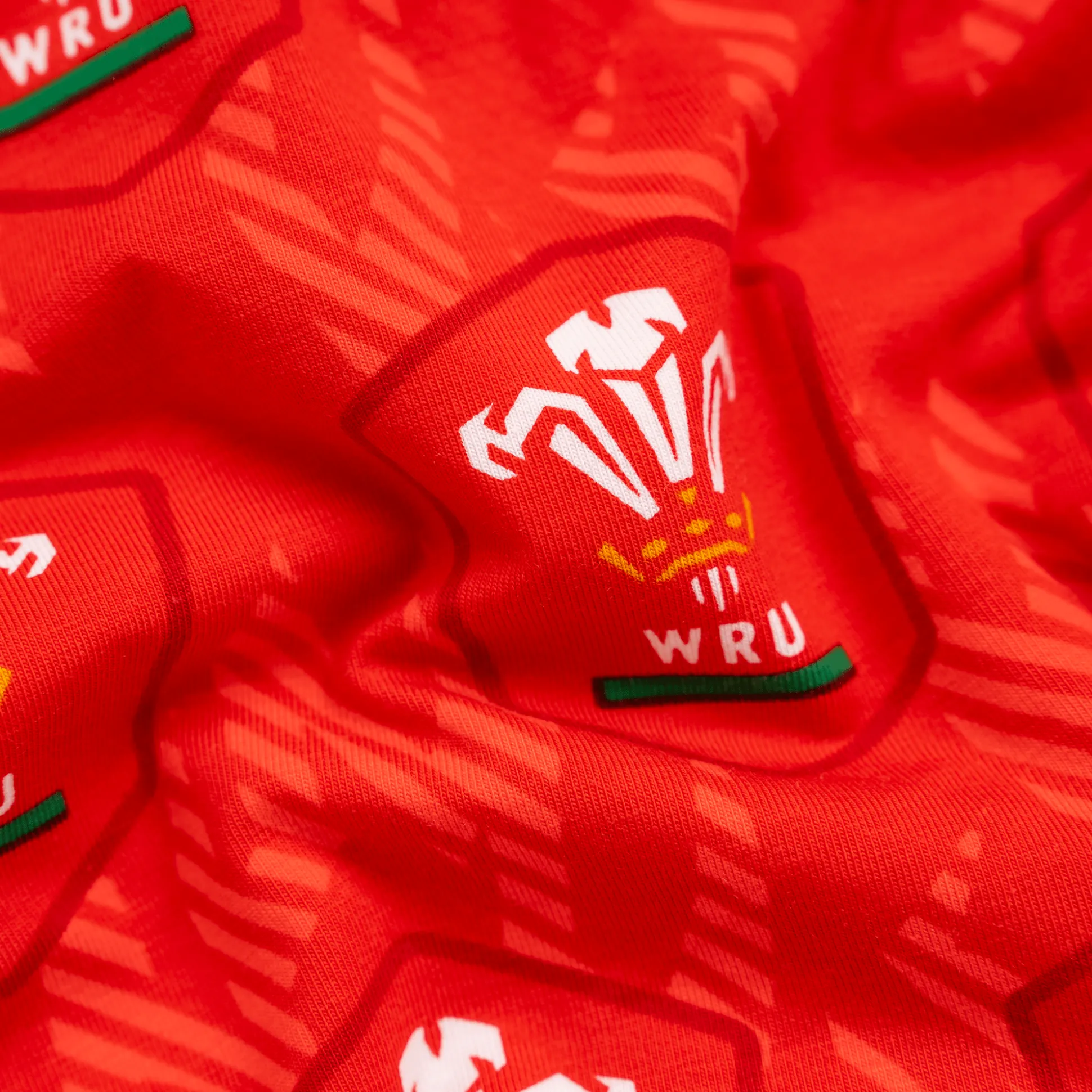 Welsh Rugby Union Flames - Ladies Briefs