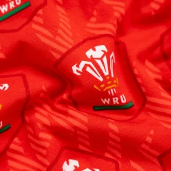 Welsh Rugby Union Flames - Ladies Thong