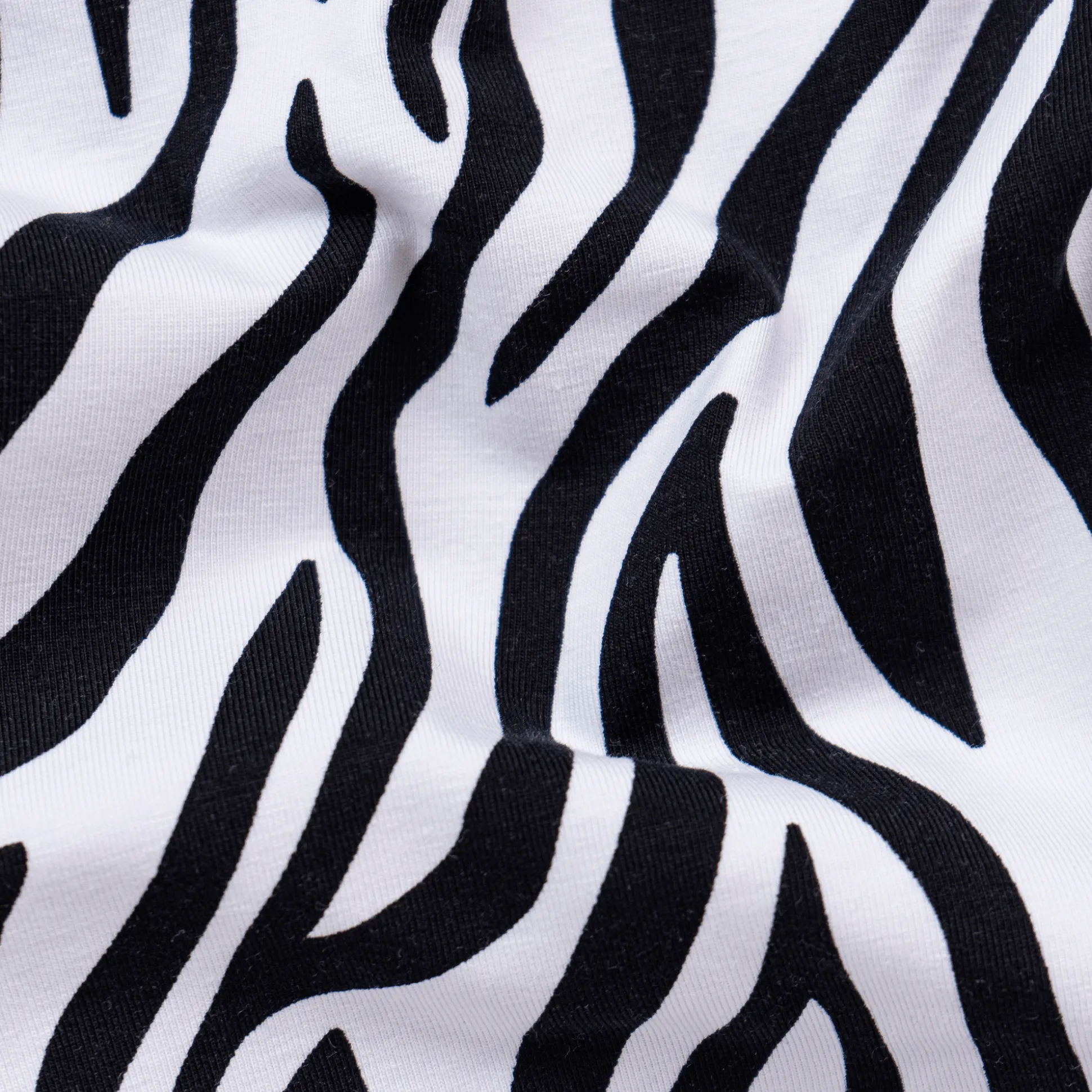 Zebra Crossing - Ladies Briefs